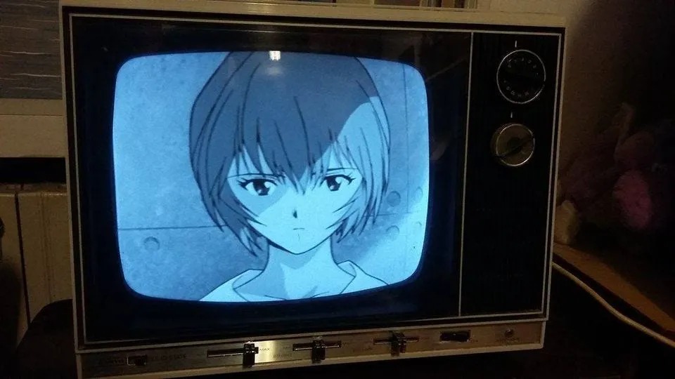 Evangelion(TV) photo credit: twitter @telewaifus