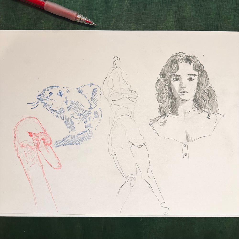 Sketch