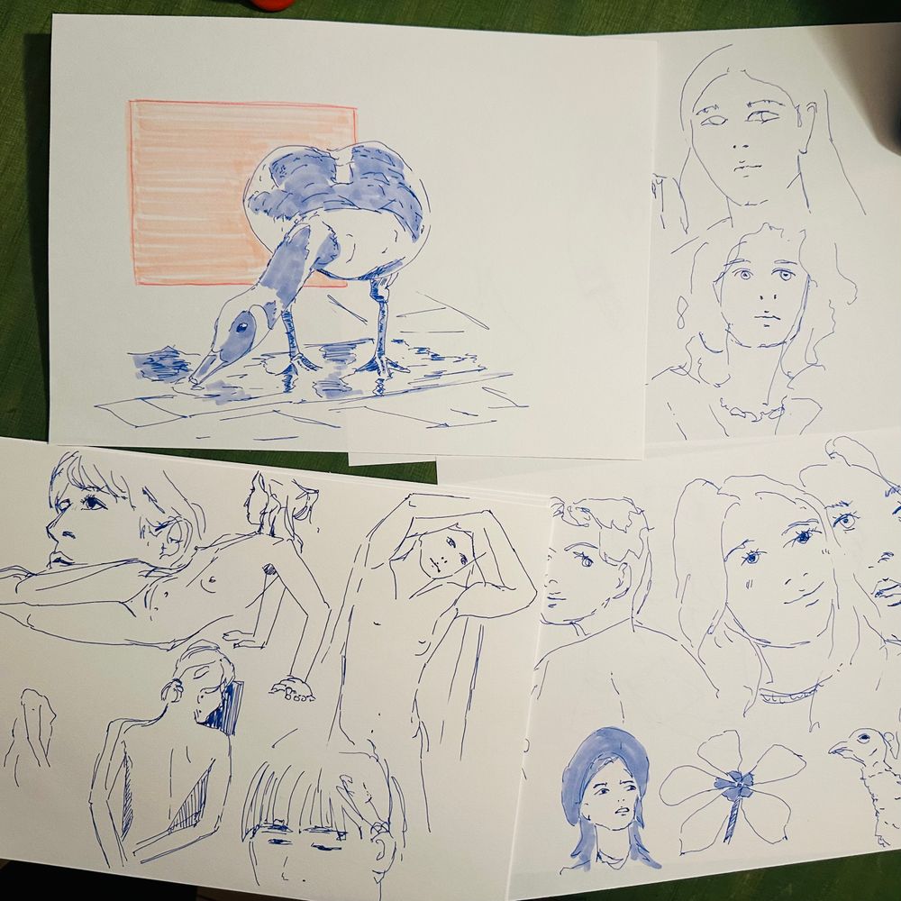 Sketch